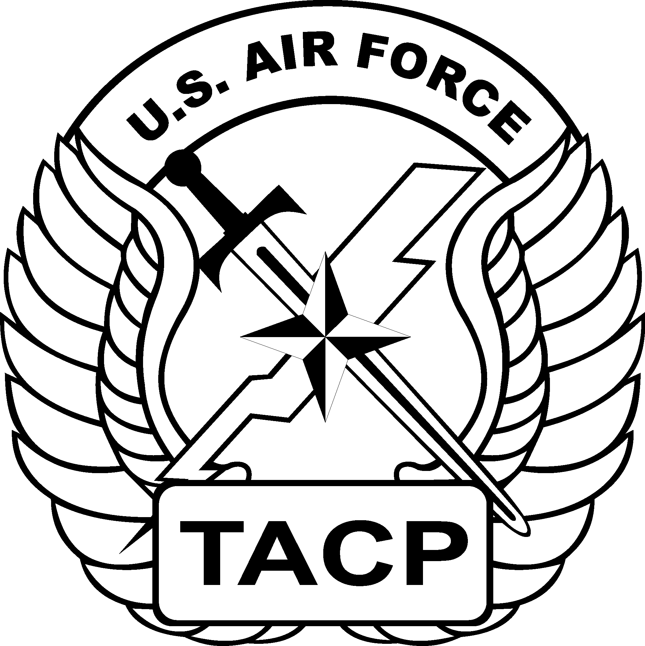 Air Force TACP Logo